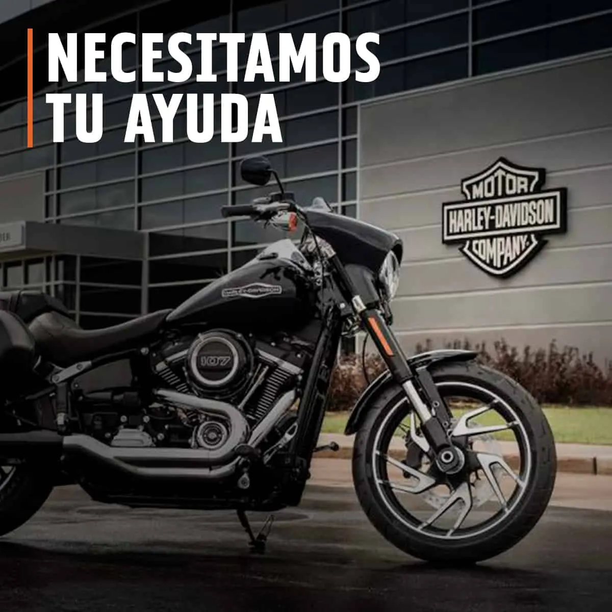 Harley siempre ha estado a tu lado: Hoy necesitamos que seas tú quien nos apoyes.