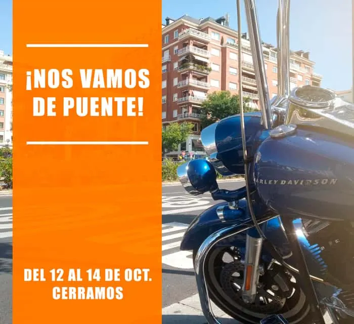 ¡Nos vamos de puente!